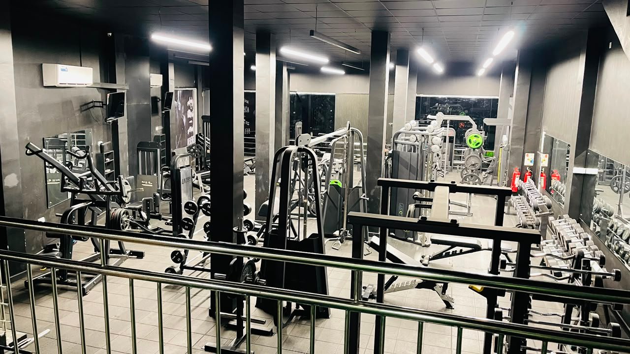 Free Weights at Premium Fitness