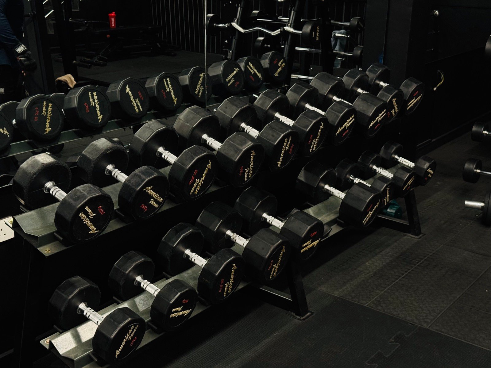 A full rack of rubber hex dumbbells at Premium Fitness